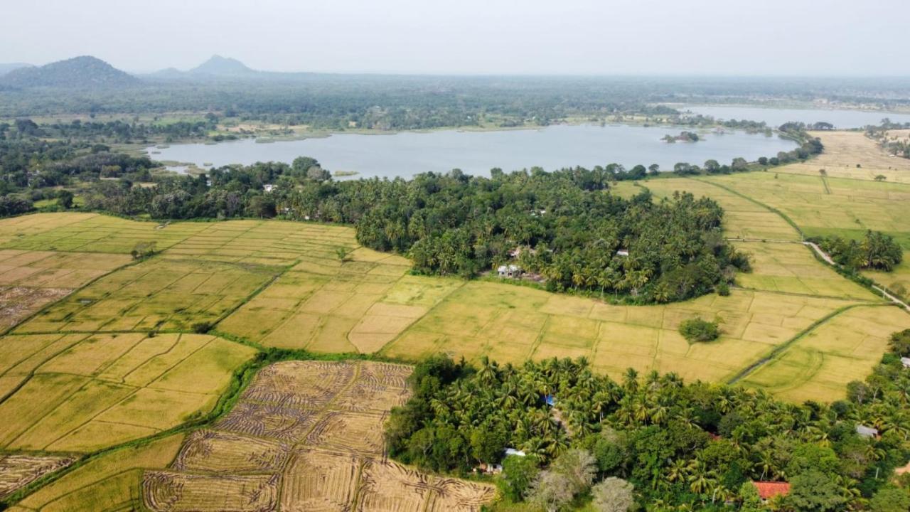Mailagama Cinnamon Residence Kataragama Kültér fotó