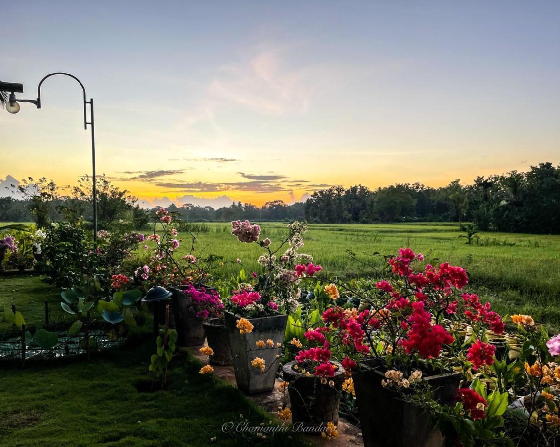 Mailagama Cinnamon Residence Kataragama Kültér fotó
