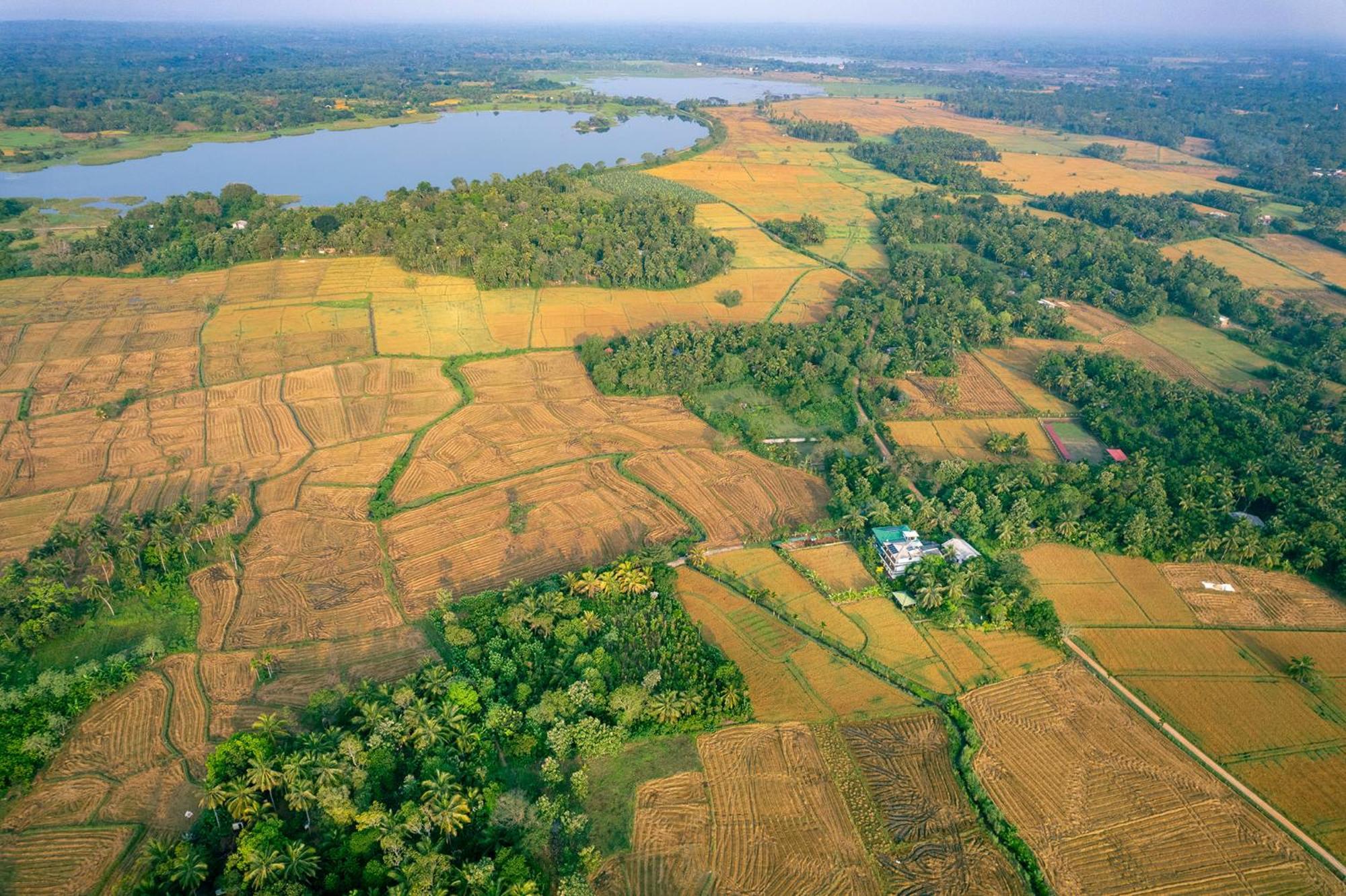 Mailagama Cinnamon Residence Kataragama Kültér fotó