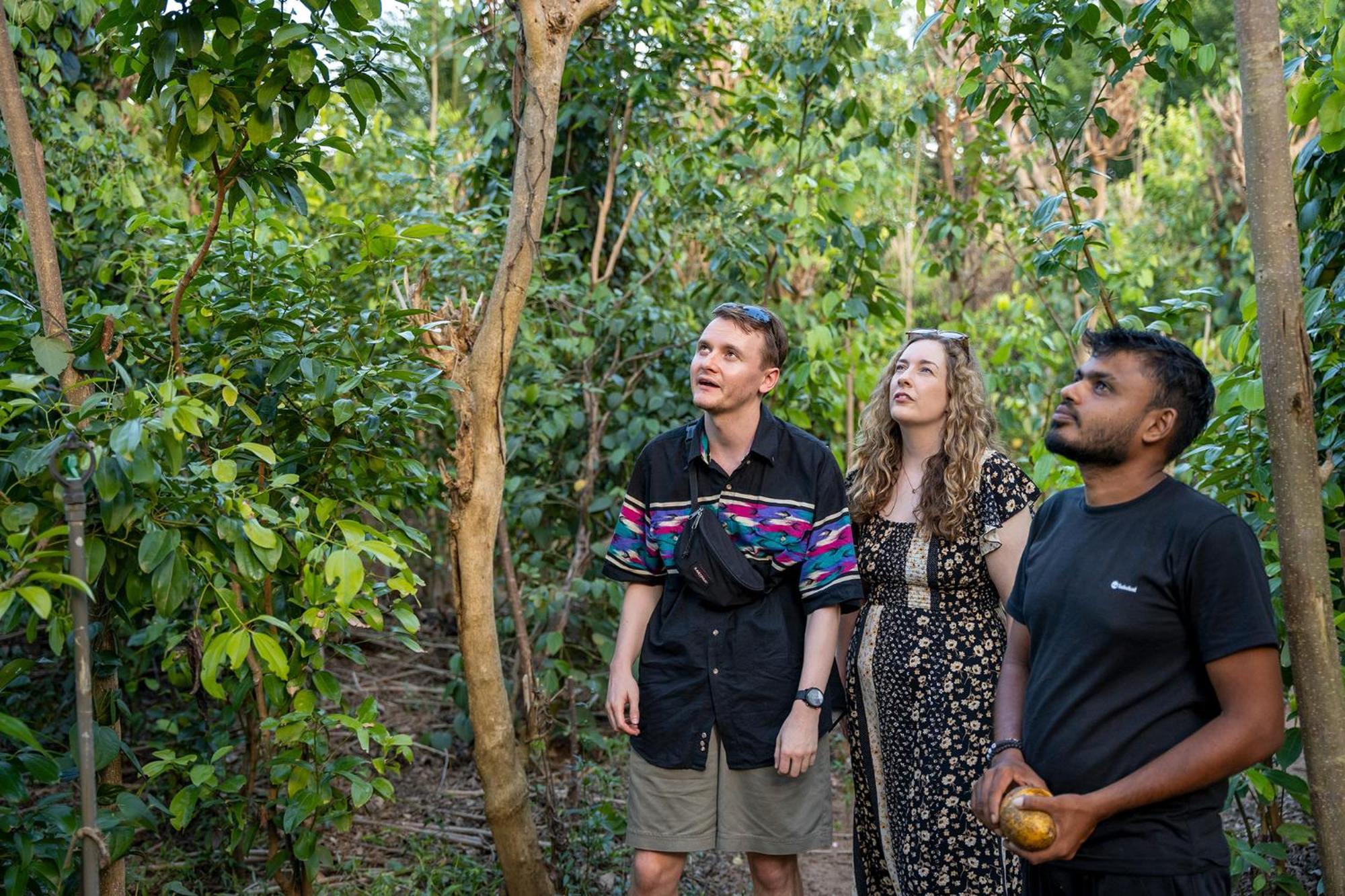 Mailagama Cinnamon Residence Kataragama Kültér fotó